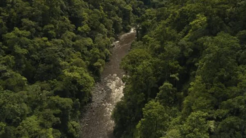 La Reserva del río Bigal, un santuario de mariposas en el corazón de Loreto